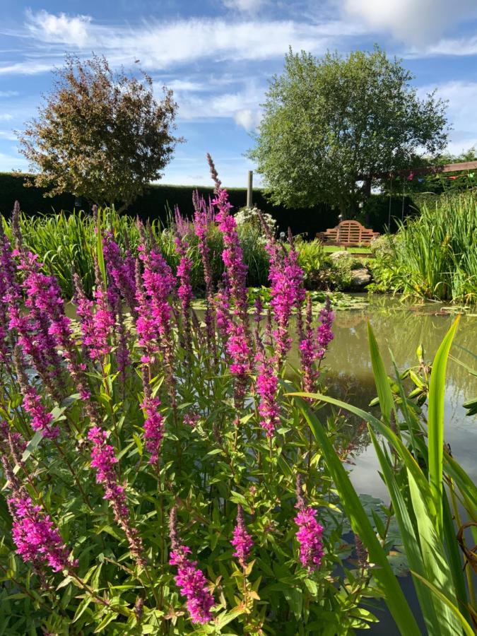 Bramble Lodge Glamping Louth  Esterno foto